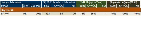 Şirketlerin 2016/3. çeyrek kar beklentileri