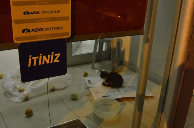 Bank Asya'da 'kedi' operasyonu