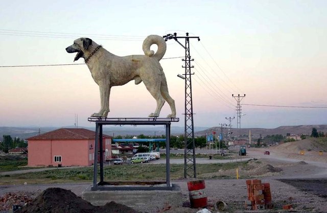 5 bin lira için vahşet