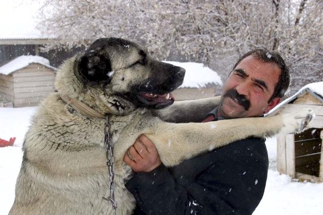 5 bin lira için vahşet