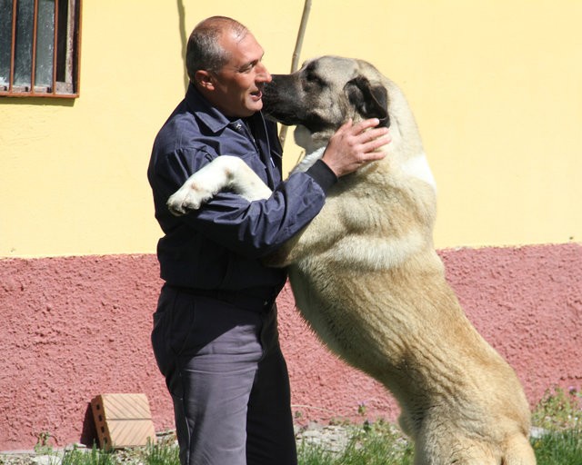 5 bin lira için vahşet