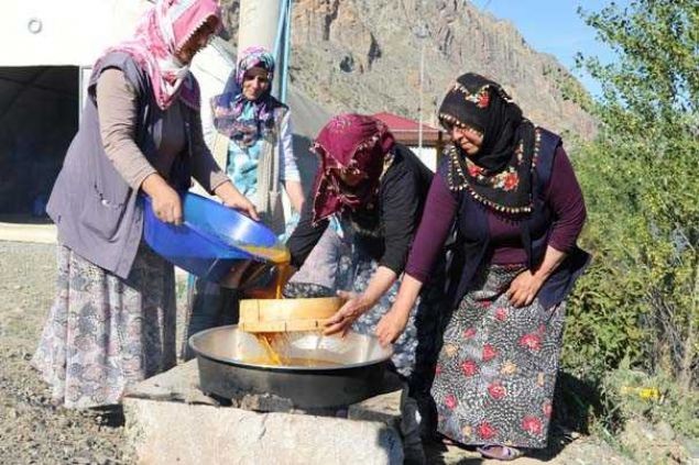 İşte Cengiz Han'ın askerlerine verdiği gizli iksiri