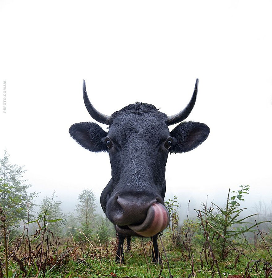 Ünlü fotoğrafçıdan muhteşem kareler