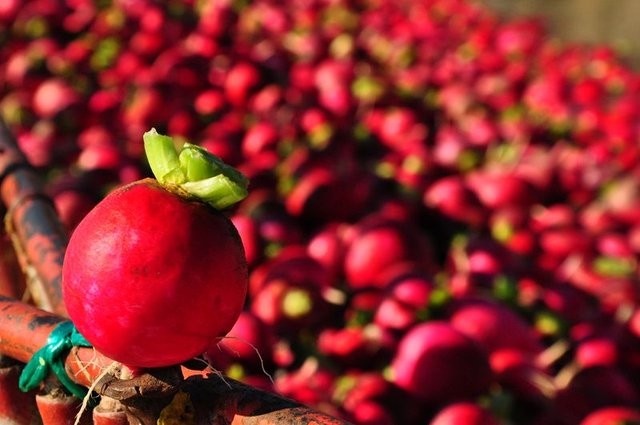 Antibiyotik yerine bunları tüketin!