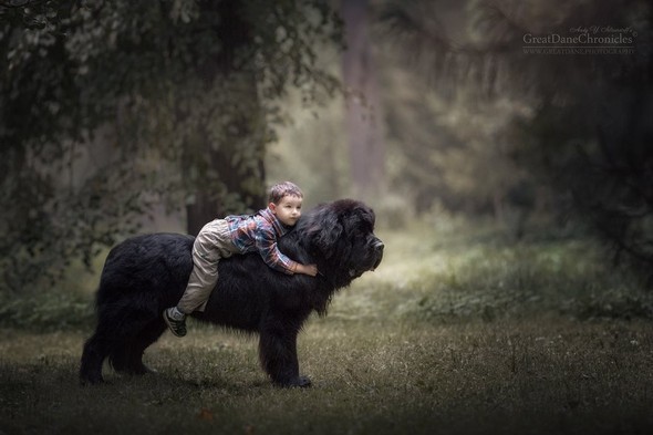 Sosyal medyada büyük yankı uyandıran fotoğraf projesi