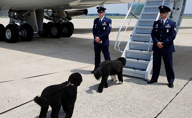 Obama 8 yılda tatil için ne kadar harcadı?