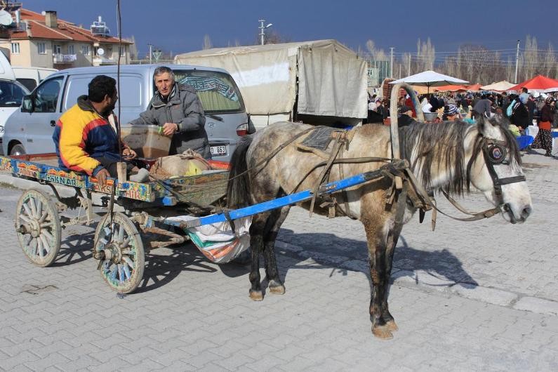 Mahkemelerin verdiği ilginç cezalar