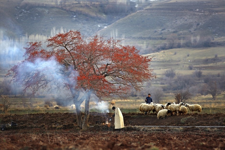 Yılın basın fotoğrafları