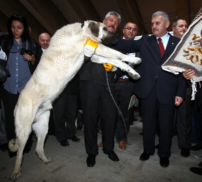 Binali Yıldırım'ın bilinmeyen yönleri