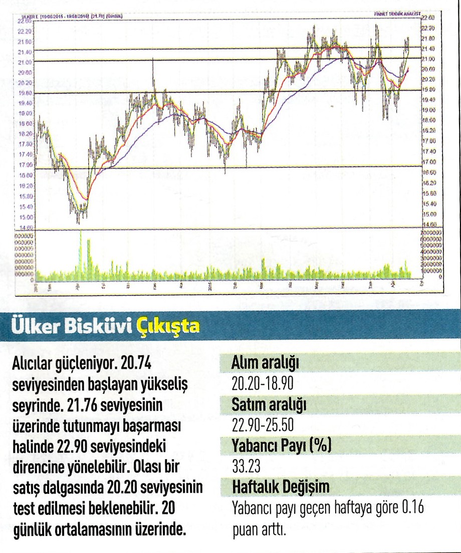 17 hisse için teknik analiz