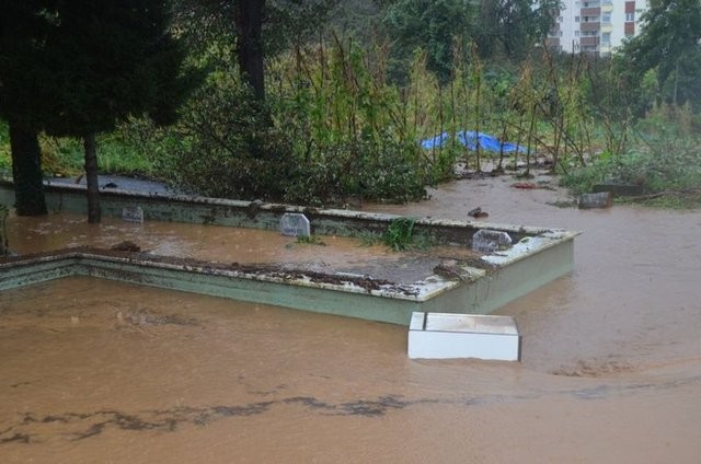 Trabzon'da sel felaketi: 2 ölü