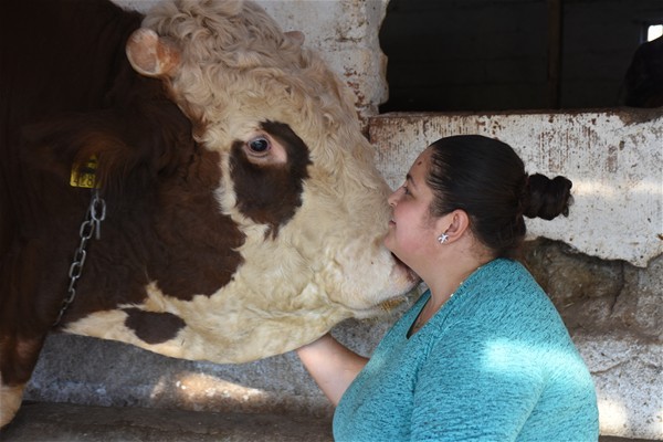 40 ay gofret ve çikolatayla besledi