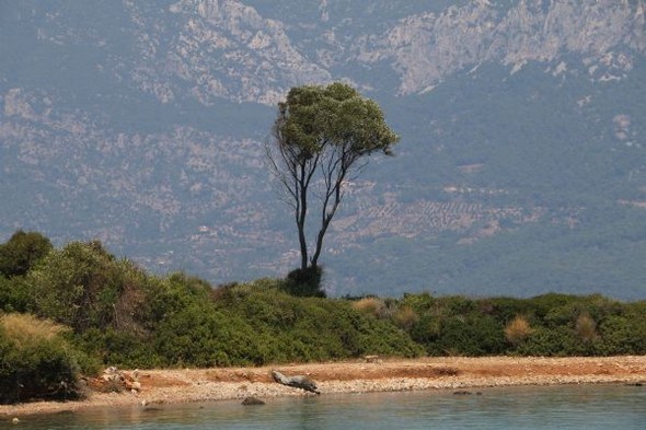 Tatilde 'Sakin Kent'e' akın olacak  