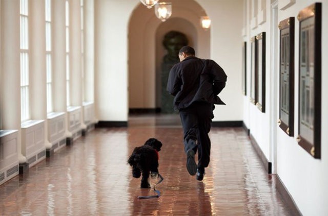 Obama'nın fotoğrafçısından 8 yılın en iyi kareleri