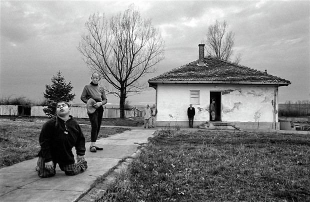 Bu fotoğraflar kan donduruyor tamamen gerçek ve...