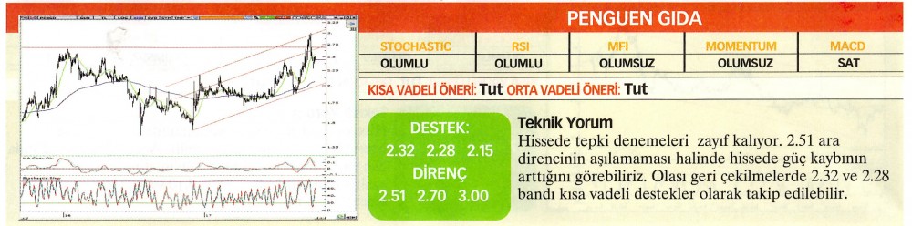 22 hisselik teknik analiz