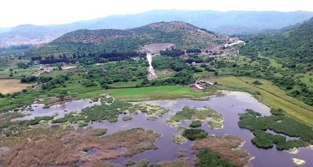 Efes Antik Kenti'ni denizle buluşturacak proje için 53 teklif verildi