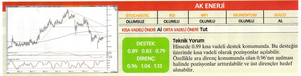 22 hisselik teknik analiz