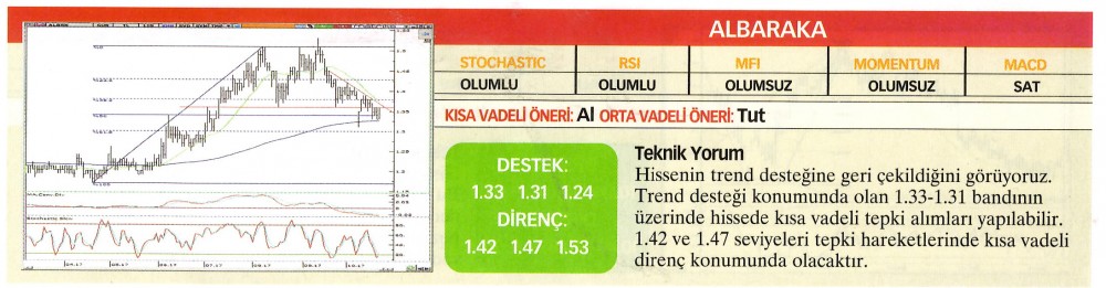 22 hisselik teknik analiz