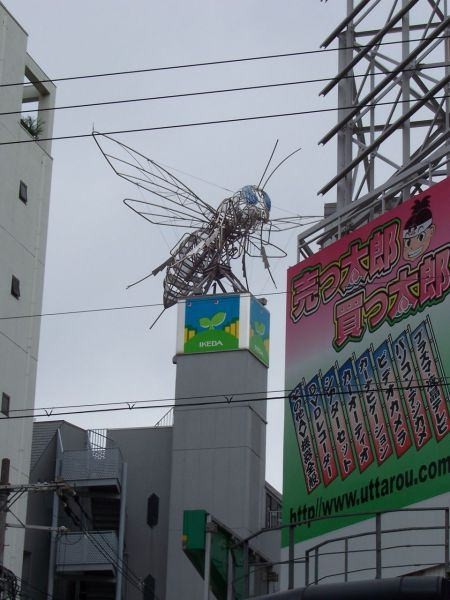 Sadece Japonya'da görebileceğiniz kareler