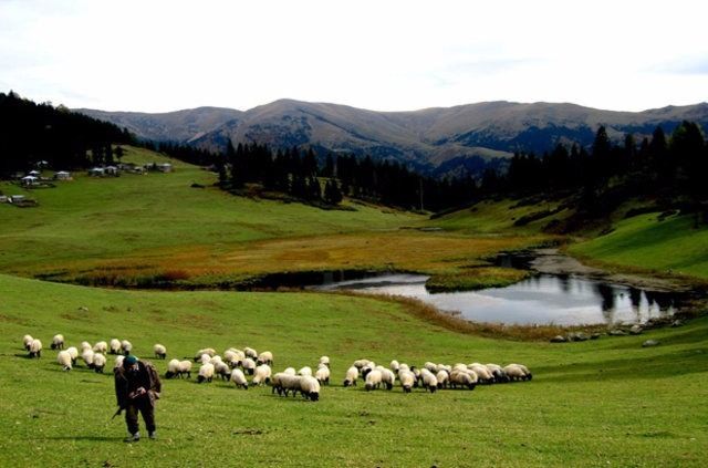 İşte Türkiye'nin en güzel yerleri