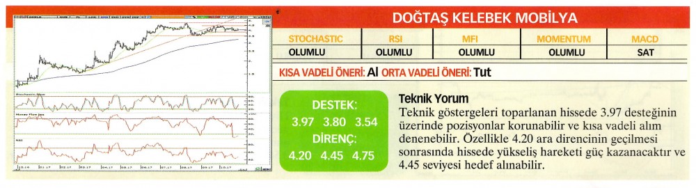 17 hisselik teknik analiz