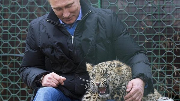 İşte Putin'in leoparı