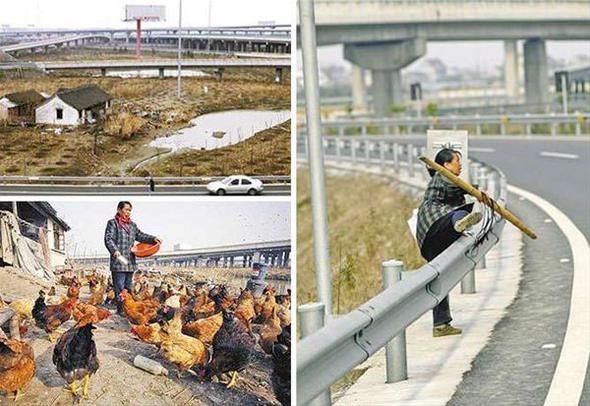 Bu ilginç olaylar ancak o ülkede olur! Aile mezarın taşınmasına izin vermedi...