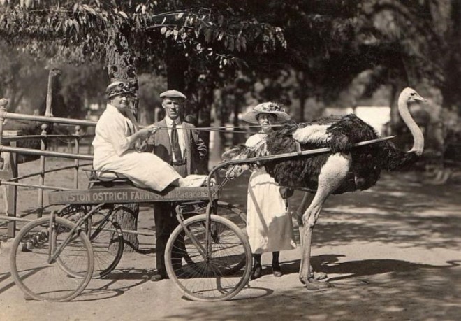 100 yıl önce tarihte gerçekleşen, şimdilerde bizlere ilginç ve sıra dışı gelen 6 ilginç olay...