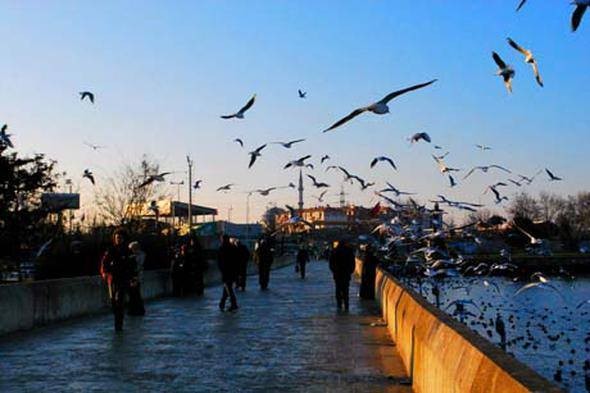 İstanbul'un hangi semtinde en çok nereli var? 