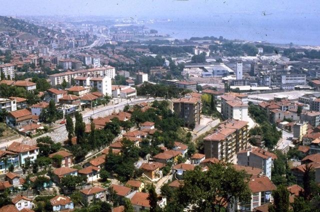 İstanbul'un hangi semtinde en çok nereli var? 