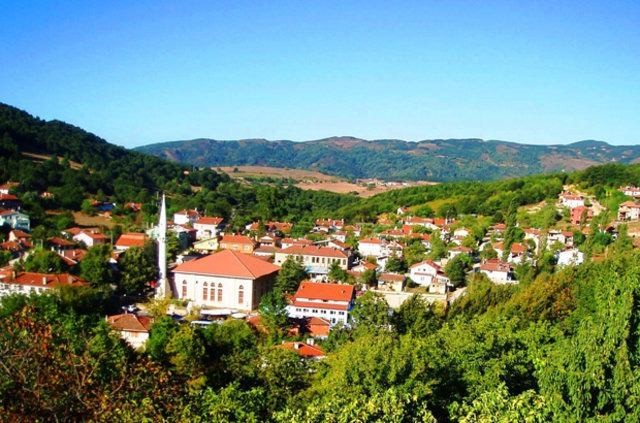 İstanbul'un hangi semtinde en çok nereli var? 