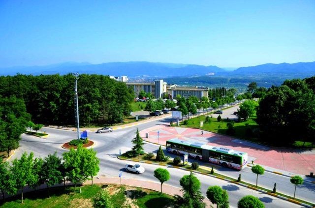 İstanbul'un hangi semtinde en çok nereli var? 