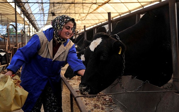 4 bilezikle 1 milyon liralık servete ulaştı!