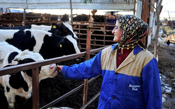 4 bilezikle 1 milyon liralık servete ulaştı!