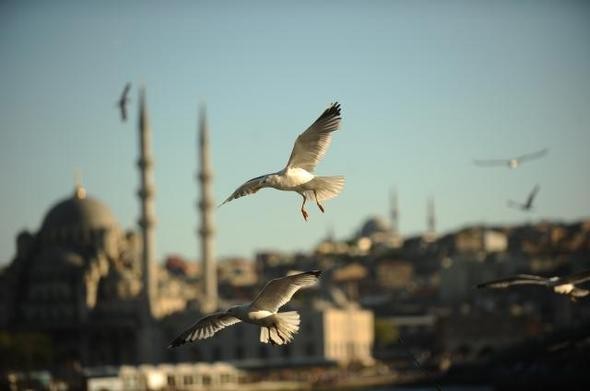 İstanbul'da en çok hangi ilçelerde iş bulunuyor