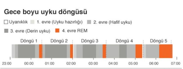 Uyku hakkında bilinmesi gereken 10 şey