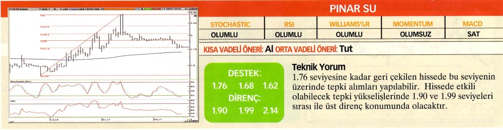 22 hisselik teknik analiz