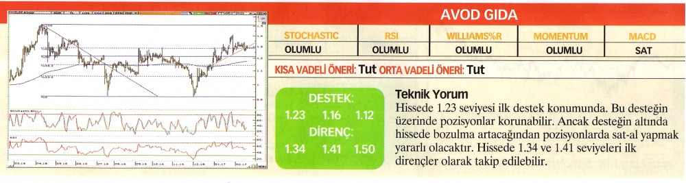 22 hisselik teknik analiz