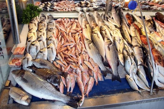 Türkiye ile Hollanda arasındaki ekonomik ilişkilerde son durum