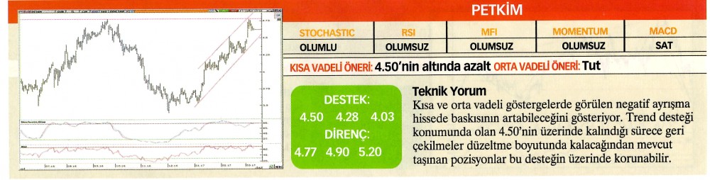 22 hisselik teknik analiz