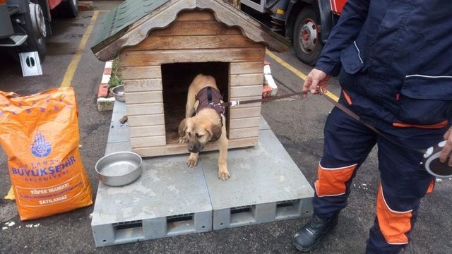 'Kuyu' karantinaya alındı iddiası!