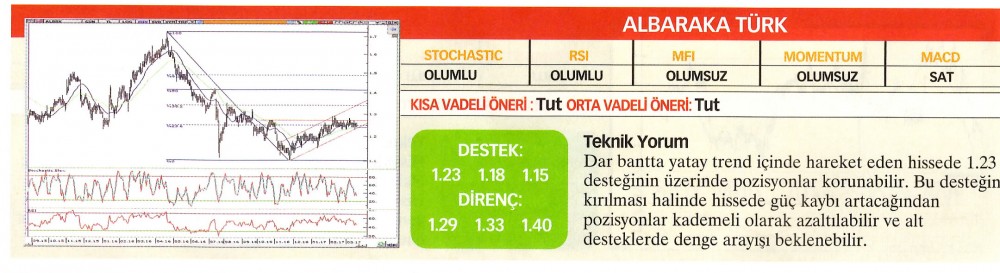 22 hisselik teknik analiz