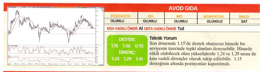 22 hisselik teknik analiz