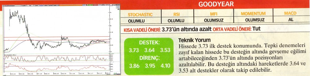 22 hisselik teknik analiz