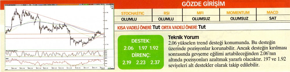 22 hisselik teknik analiz