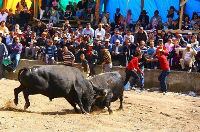 Hangi şehrin nesi meşhur