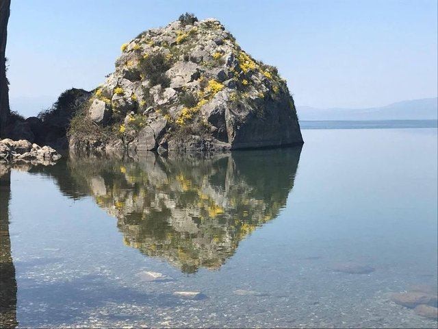 Kayanın suya yansıyan görüntüsündeki detaylar