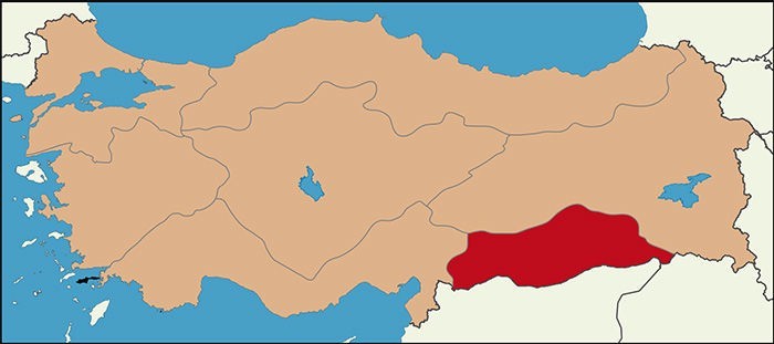 Son referandum anketinde büyük sürpriz