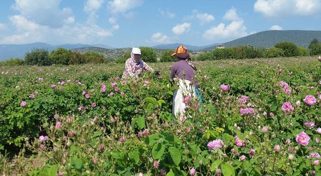 İstihdam seferberliğinde ilk 3 ayın bilançosu 